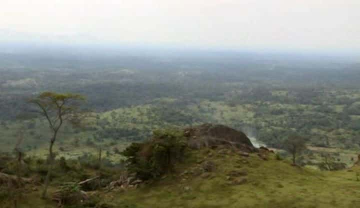 ¼Ƭչĺ Congo - The Children Who Came Back from the Deadȫ1-Ļ/Ļ