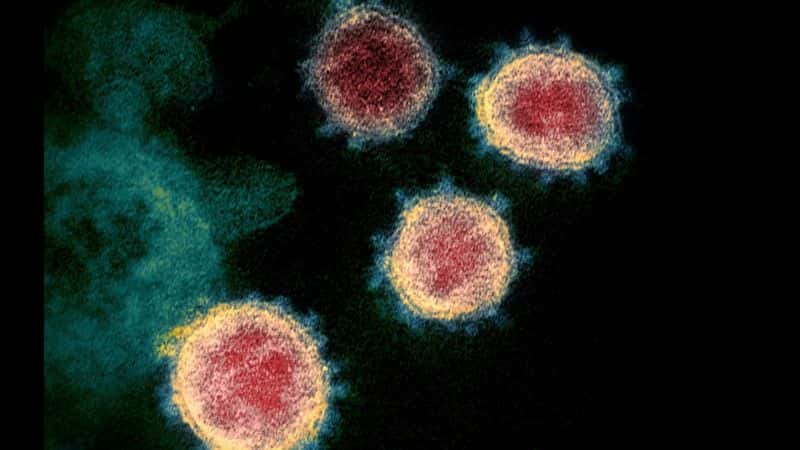 ¼ƬͻԹ״ Breakthrough Coronavirus: Combating the Outbreak1080P-Ļ/Ļ