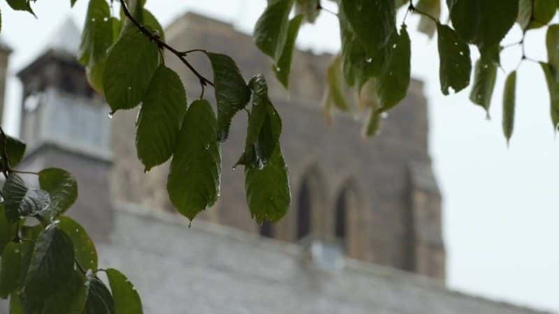 ¼Ƭֵ꣺ɮµ Brotherhood: The Inner Life of Monks1080Pȫ1-Ļ/Ļ