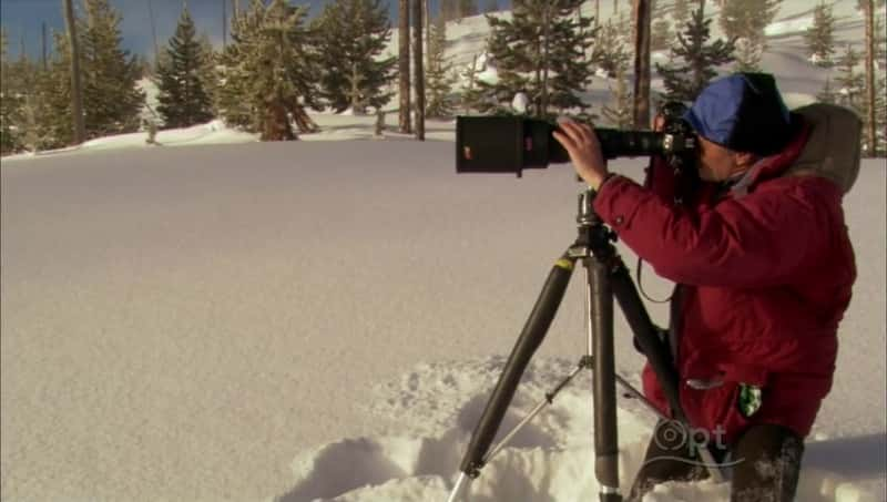 ¼Ƭʯ԰ʥ Christmas in YellowstoneĻ/Ļ