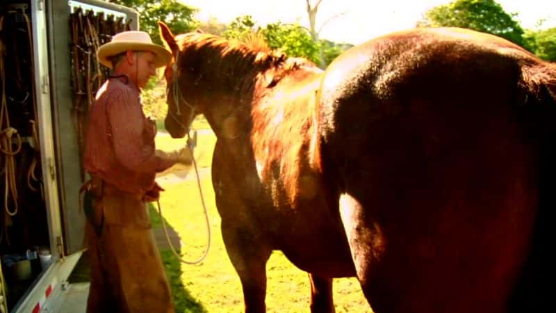 ¼ƬͿˣ Buck: The Real Horse WhispererĻ/Ļ