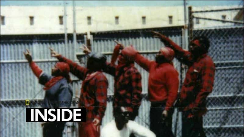 ¼ƬѪȳӣɼڰ Bloods and Crips: LA GangsĻ/Ļ