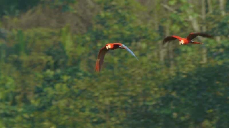 ¼ƬԸ嵥 Bucket List: South America1080P-Ļ/Ļ