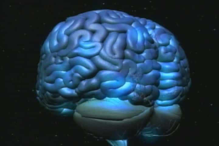 ¼Ƭǵ֮ڵĴԣ֪ The Brain Our Universe Within: PerceptionĻ/Ļ