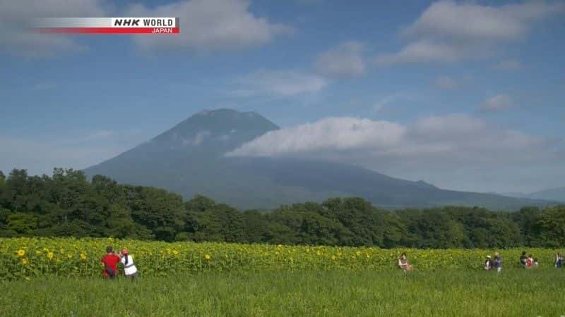 ¼Ƭгձϲļ Cycle Around Japan Southern Hokkaido: A Perfect Summer Rideȫ1-Ļ/Ļ