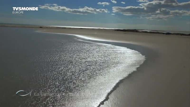 ¼ƬEn Toute Liberte La Camargue: En Toute Liberteȫ1-Ļ/Ļ