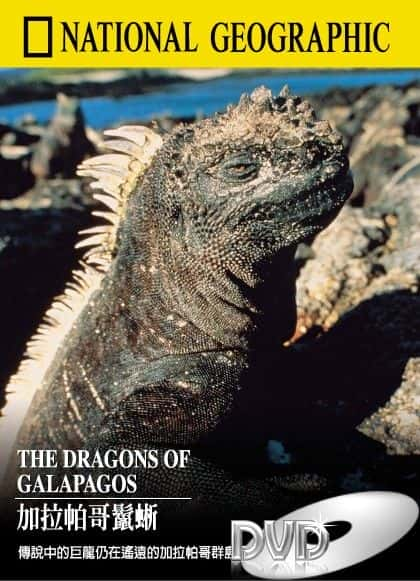 ¼Ƭ˹Ⱥ The Dragons of Galapagosȫ1-Ļ/Ļ