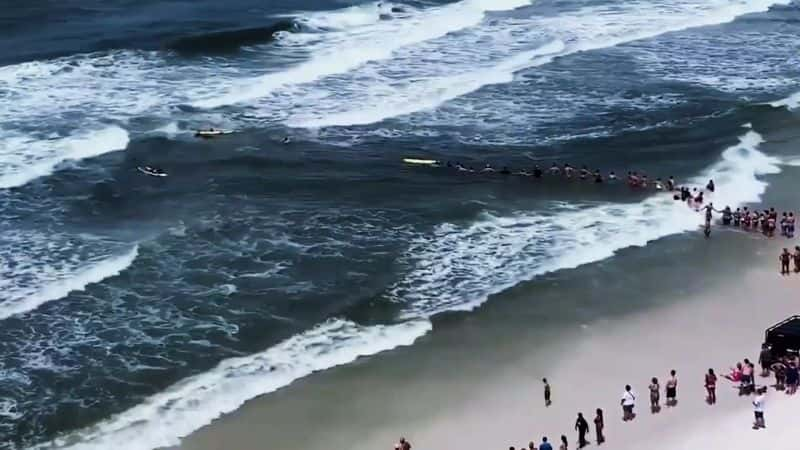 ¼Ƭͻƣ밶 Breakthrough: Escaping Rip Currents1080P-Ļ/Ļ