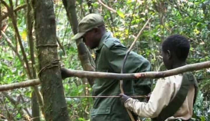 ¼Ƭչĺ Congo - The Children Who Came Back from the Deadȫ1-Ļ/Ļ