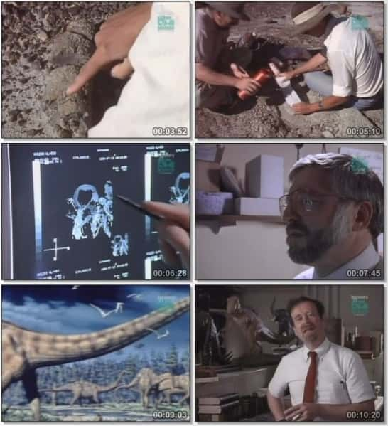 纪录片《恐龙医生 Dino Doctors》[无字][BT][720P]资源下载