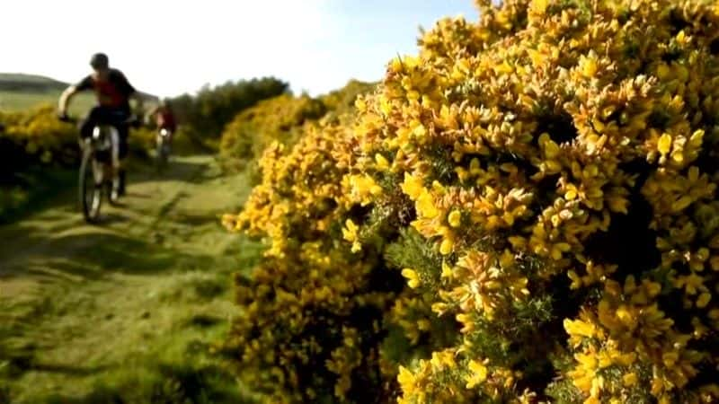 ¼ƬӢ British Orienteering Championships720Pȫ1-Ļ/Ļ