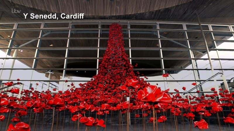 ¼ƬӢڻһս Britain's Poppies: The First World War Rememberedȫ1-Ļ/Ļ