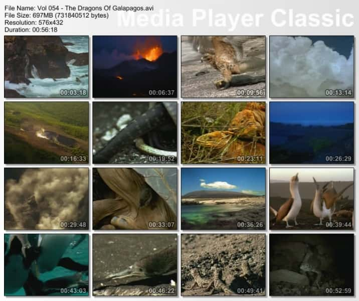 ¼Ƭ˹Ⱥ The Dragons of Galapagosȫ1-Ļ/Ļ