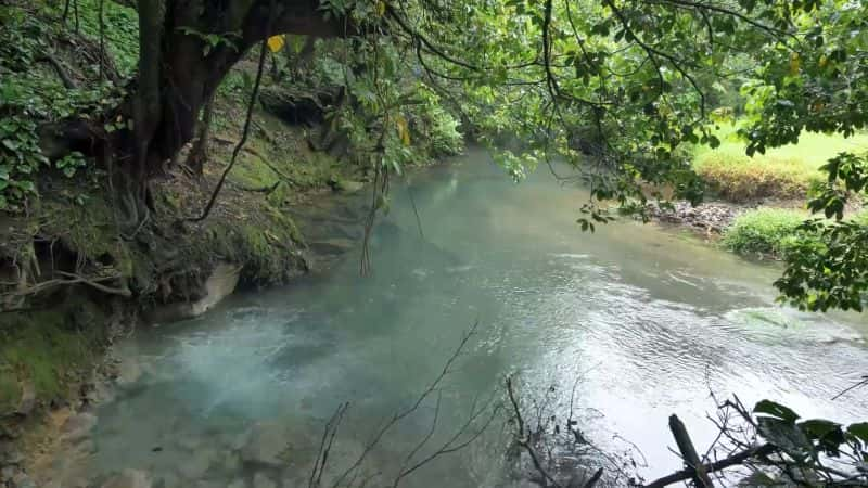 纪录片《哥斯达黎加：彩虹下的野生动物 Costa Rica: Wildlife under the Rainbow》[无字][BT][720P]资源下载