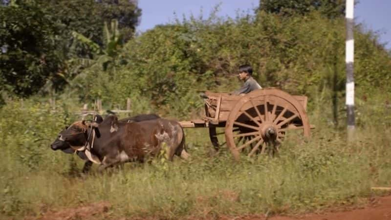 纪录片《达拉和艾德的曼德勒之路：系列 1 Dara and Ed's Road to Mandalay: Series 1》全3集[旅行纪录片][无字幕][720P][MP4][BT][资源下载]