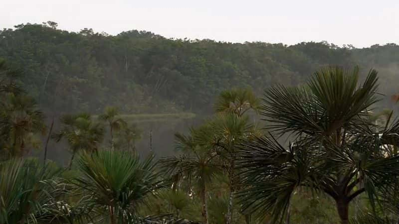 ¼ƬѲѷ Cruising the AmazonĻ/Ļ