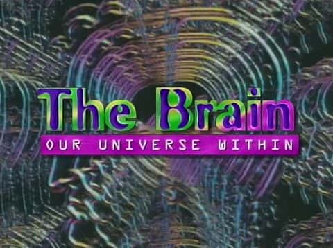 ¼Ƭԣǵ The Brain: Our Universe WithinĻ/Ļ