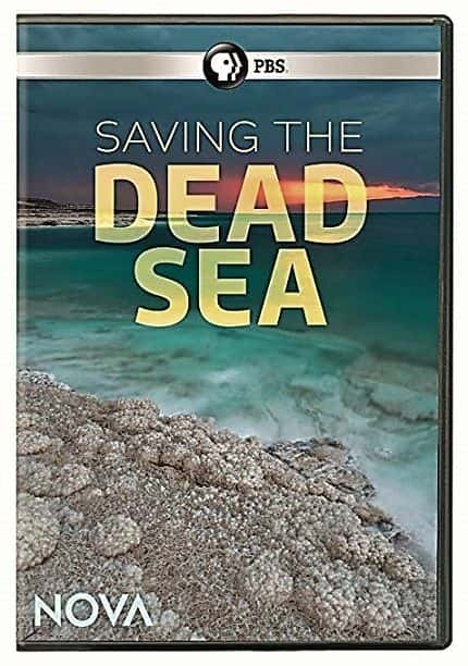 ¼Ƭ The Dead Sea LivesĻ/Ļ