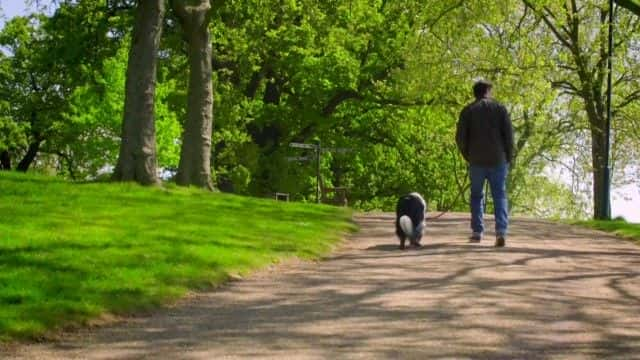 ¼ƬӢ Britain's Dog Poo Scandal1080Pȫ1-Ļ/Ļ