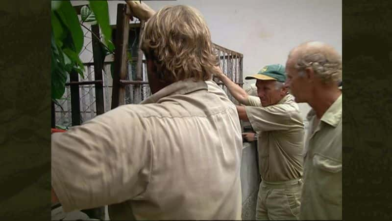 ¼Ƭ - ʷٷŷľѡ Crocodile Hunter - The Best of Steve Irwin1080P-Ļ/Ļ