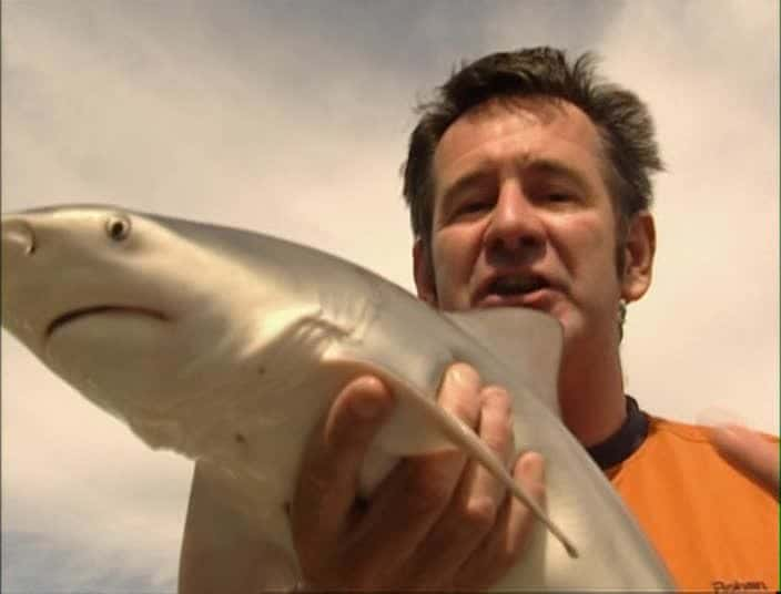 ¼Ƭţ -  Bull Shark - World's Deadliest SharkĻ/Ļ