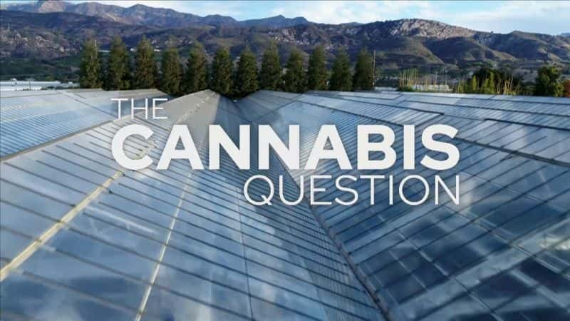 ¼Ƭ (PBS NOVA) The Cannabis Question (PBS NOVA)1080P-Ļ/Ļ