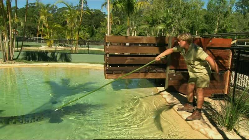 纪录片《鳄鱼猎人 - 史蒂夫·欧文精选 Crocodile Hunter - The Best of Steve Irwin》[无字][BT][720P]资源下载