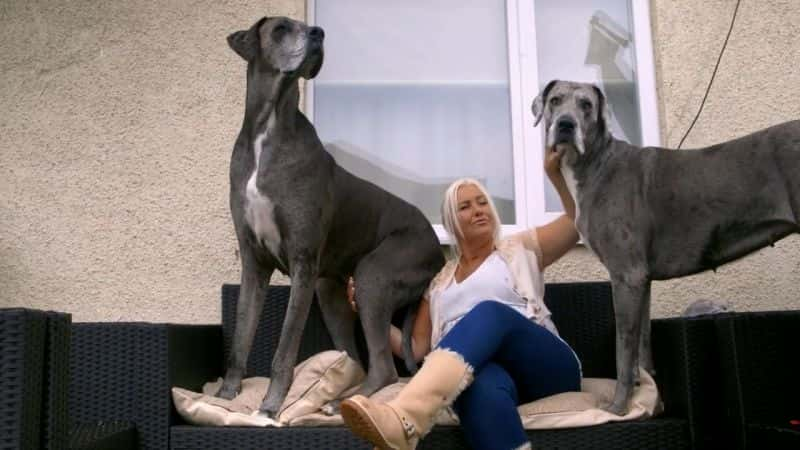 ¼ƬĹ Biggest Dog in the WorldĻ/Ļ