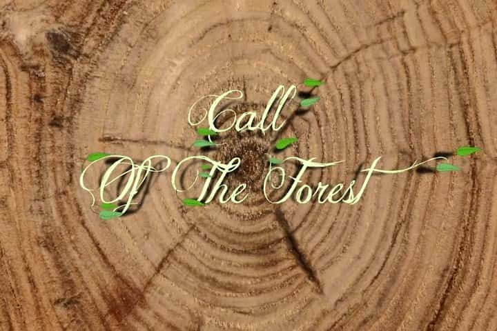 ¼Ƭɭֵĺ Call of the ForestĻ/Ļ