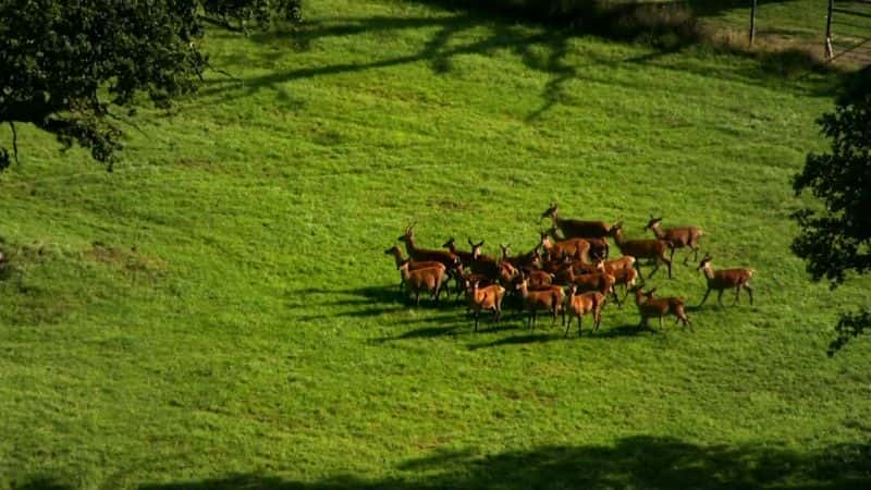 ¼Ƭա͡ҹ԰ӣ Caroline Quentin's National Parks (HDTV)Ļ/Ļ