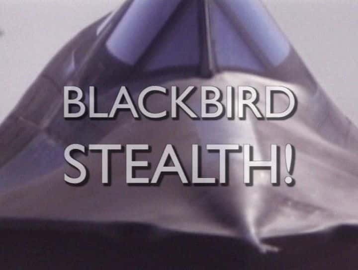 ¼Ƭ Blackbird StealthĻ/Ļ