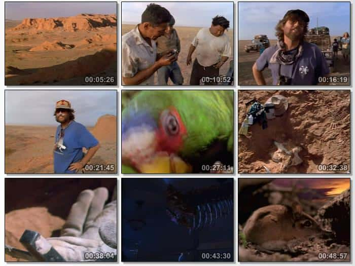 纪录片《恐龙猎人 Dinosaur Hunters》[无字][BT][720P]资源下载