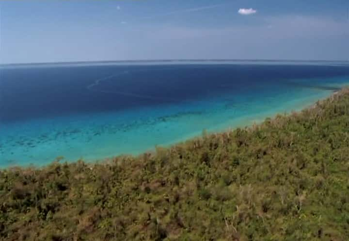 ¼ƬŰͣձȺĿҰ Cuba, Wild Island of the Caribbeanȫ1-Ļ/Ļ