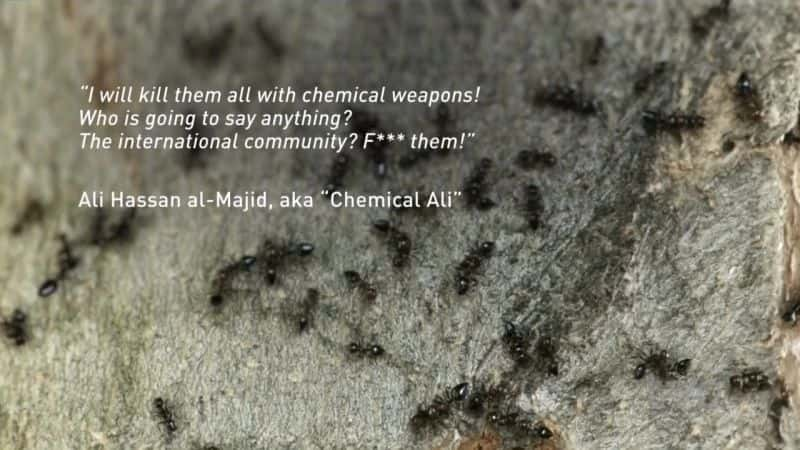 ¼Ƭѧһյս Chemical Weapons: An Insidious WarĻ/Ļ