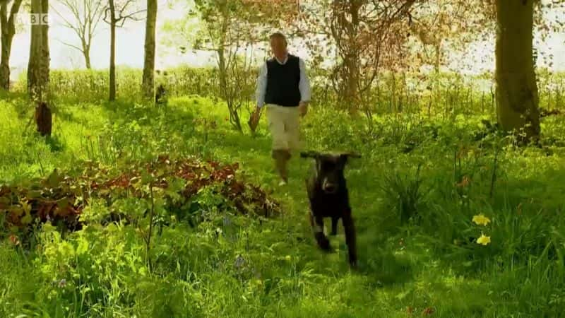 ¼ƬCountryfile ռǣϵ 3 Countryfile Spring Diaries: Series 31080P-Ļ/Ļ