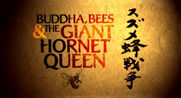 ¼Ƭӡ۷ʹƷŮ Buddha, Bees and the Giant Hornet QueenĻ/Ļ