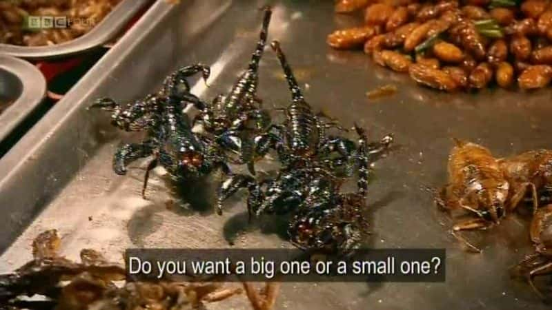 纪录片《吃昆虫能拯救世界吗？ Can Eating Insects Save the World?》[无字][BT][720P][1080P]双画质资源下载