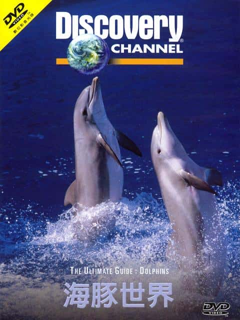 ¼Ƭ (DC) Dolphins (DC)Ļ/Ļ