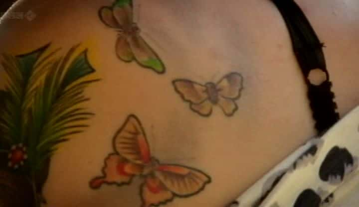 ¼ƬӢ˵ĳ Butterflies: A Very British Obsessionȫ1-Ļ/Ļ