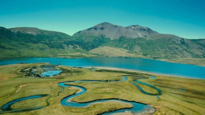 ¼Ƭǵľ Dinosaurs: Giants of PatagoniaĻ/Ļ