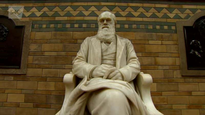 ¼Ƭģʿ˺ı Darwin: The Welshman and the Conspiracy1080P-Ļ/Ļ