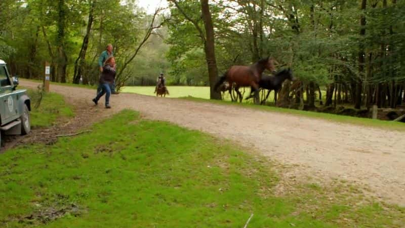 ¼Ƭա͡ҹ԰ӣ Caroline Quentin's National Parks (HDTV)Ļ/Ļ