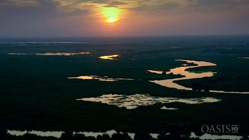 ¼Ƭ觺ӡŷ޵ѷ Danube - Europe's AmazonĻ/Ļ