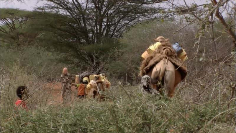 ¼Ƭ鼮񳵣ǵƶͼ Caravan of the Books: Kenya's Mobile Camel Library1080P-Ļ/Ļ