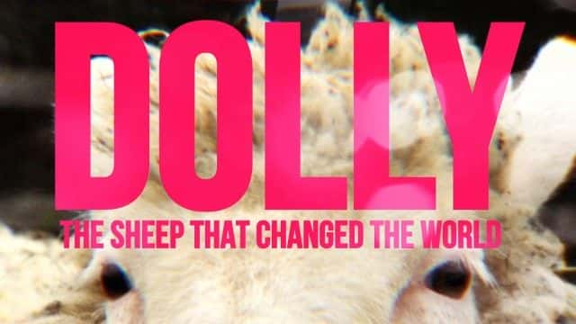 ¼Ƭ򣺸ı Dolly: The Sheep that Changed the World1080Pȫ1-Ļ/Ļ