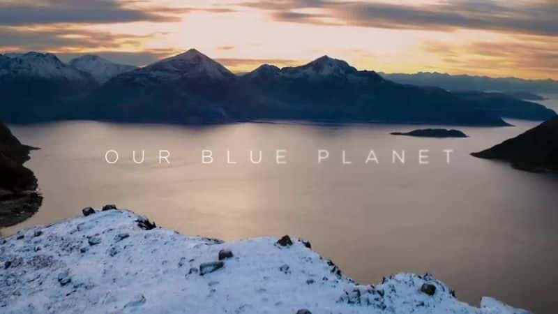 ¼Ƭɫ II  7 ֣ǵɫ Blue Planet II Part 7: Our Blue PlanetĻ/Ļ