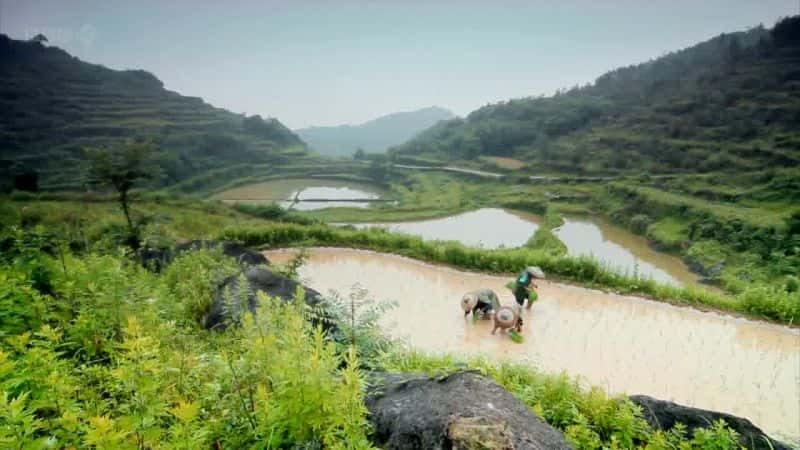 ¼Ƭϵй China on Four Wheelsȫ2-Ļ/Ļ