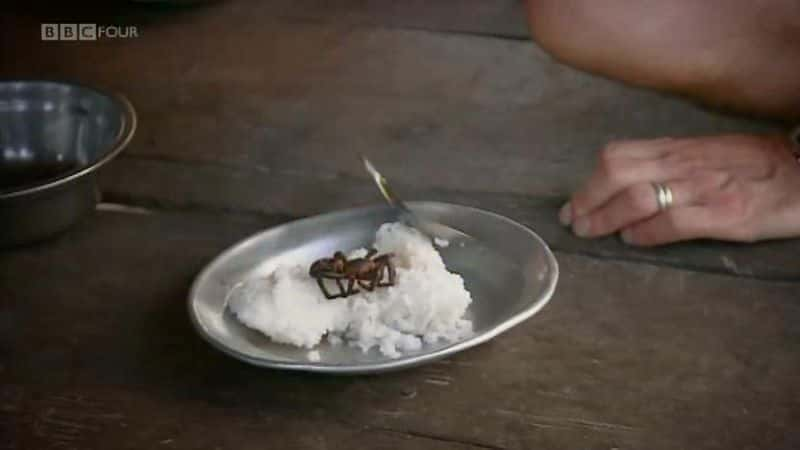 ¼Ƭ Can Eating Insects Save the World?ȫ1-Ļ/Ļ