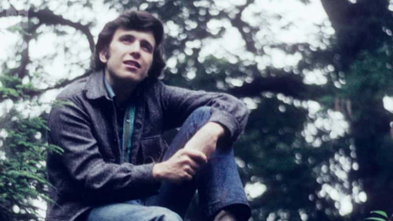 ¼Ƭơ Don McLean: American PieĻ/Ļ