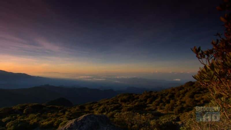 ¼Ƭɽ Dawn of Cerro de La MuerteĻ/Ļ